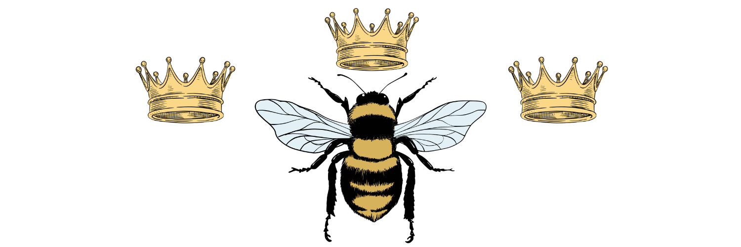 Holdsworth Chocolates